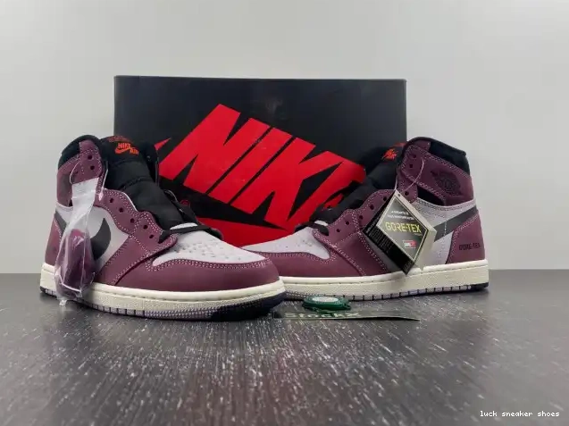 Reps LUCY 1 Gore-Tex Element DB2889-500 Jordan Air 0424